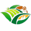 Mansha Agro Fuel