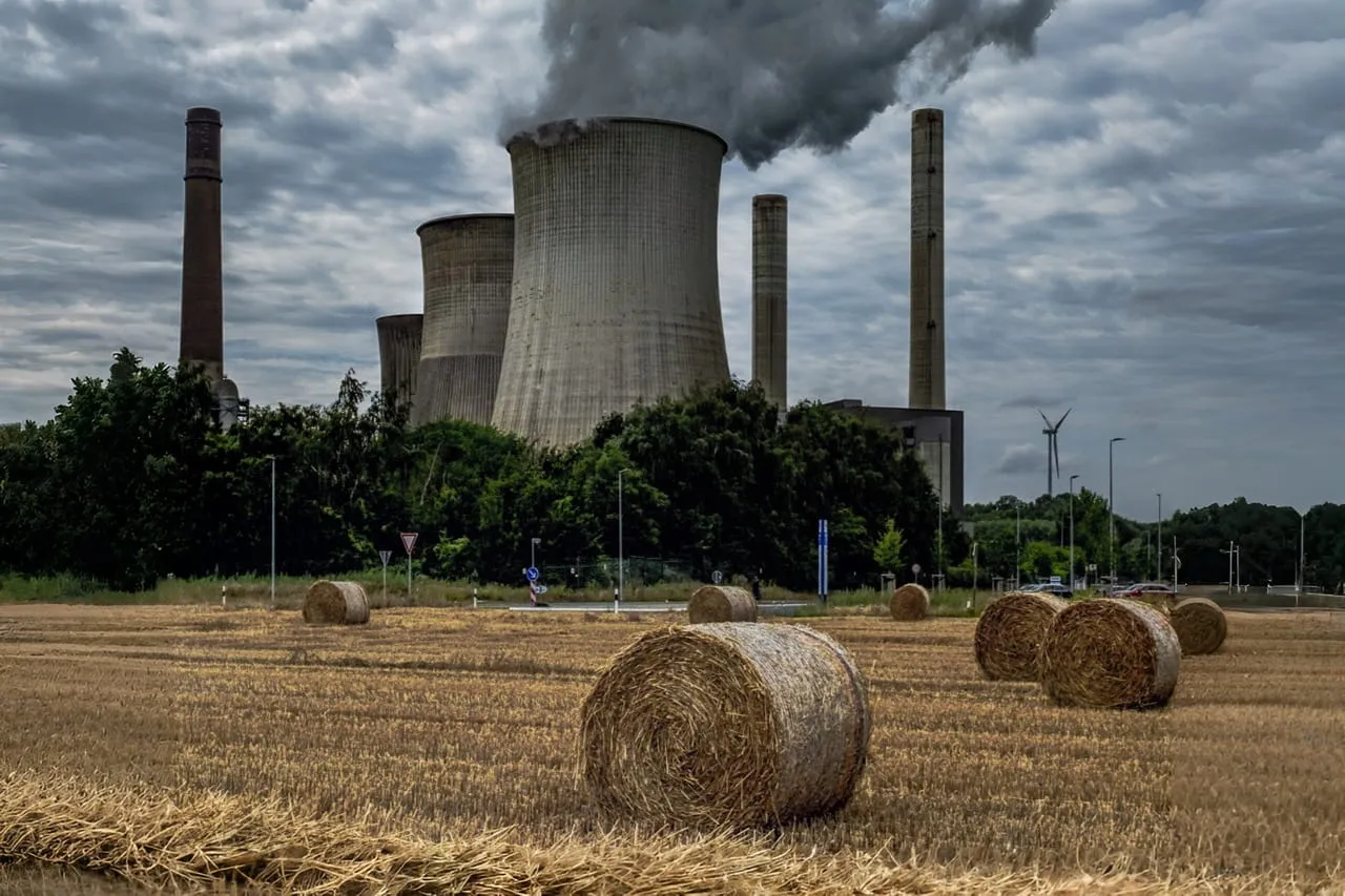 How Paddy Straw Can Power Industries: Our Project in Chhattisgarh how paddy straw can power industries our project in chhattisgarh