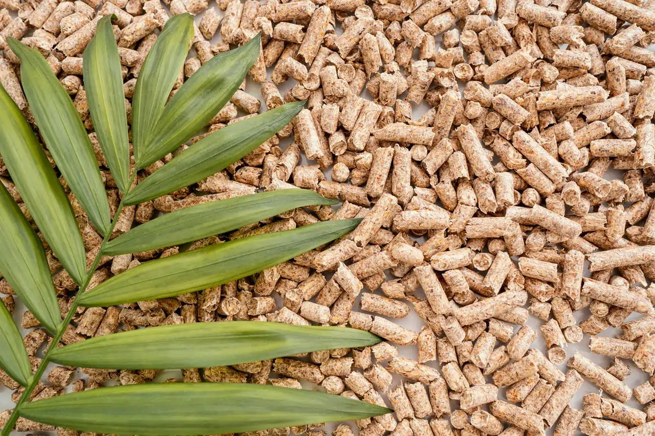 Inside Our Biomass Pellet Manufacturing Process — Step-by-Step Guide inside our biomass pellet manufacturing process step by step guide