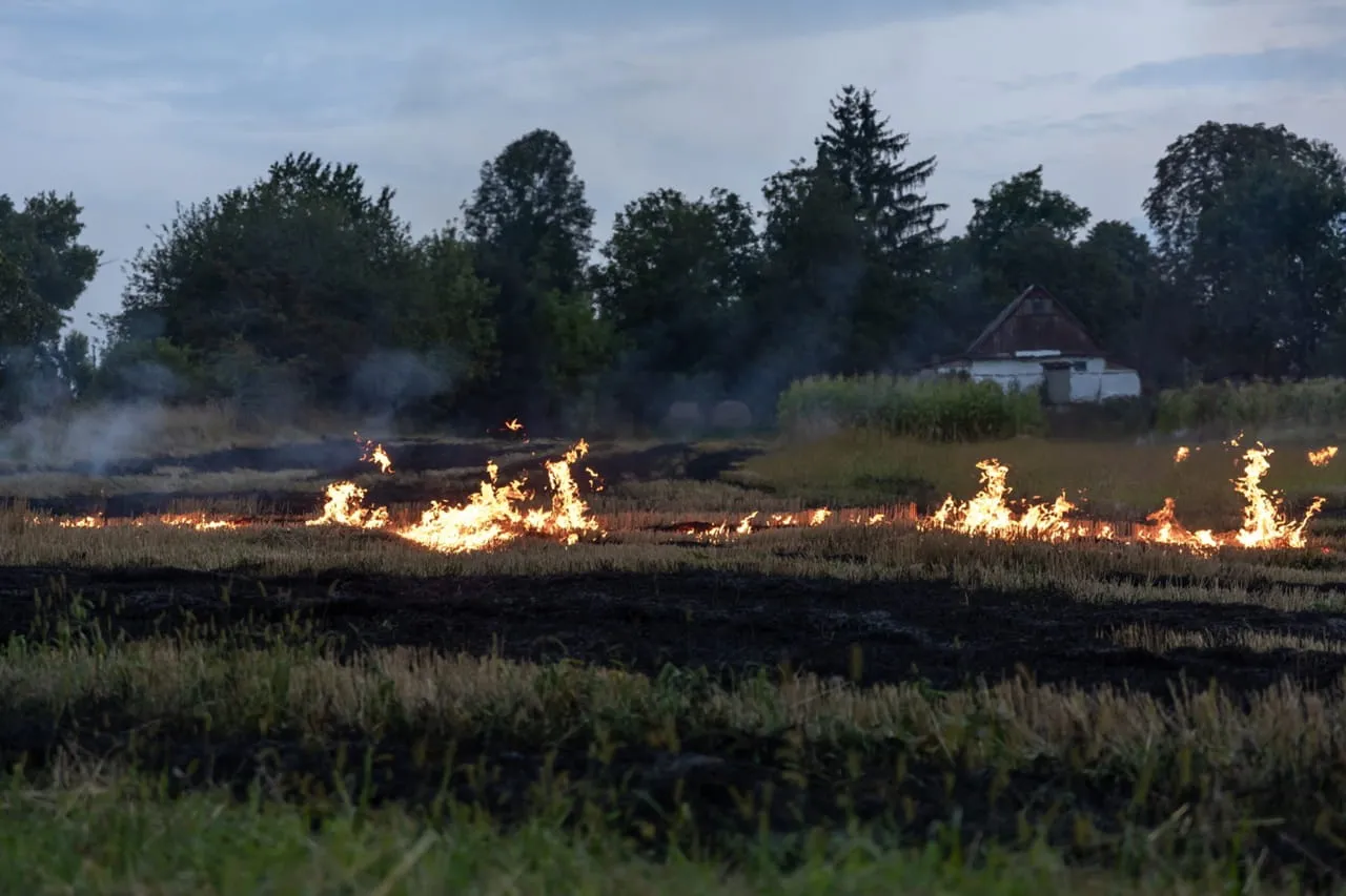 Reducing Stubble Burning — The Environmental Impact of Biomass Utilization reducing stubble burning the environmental impact of biomass utilization