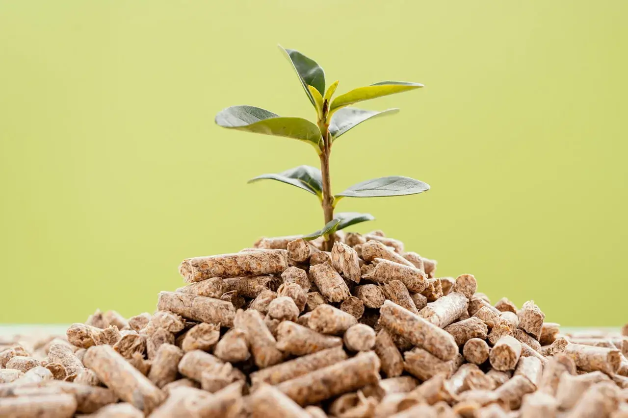 The Rise of Biomass Pellets: A Sustainable Alternative to Fossil Fuels the rise of biomass pellets a sustainable alternative to fossil fuels