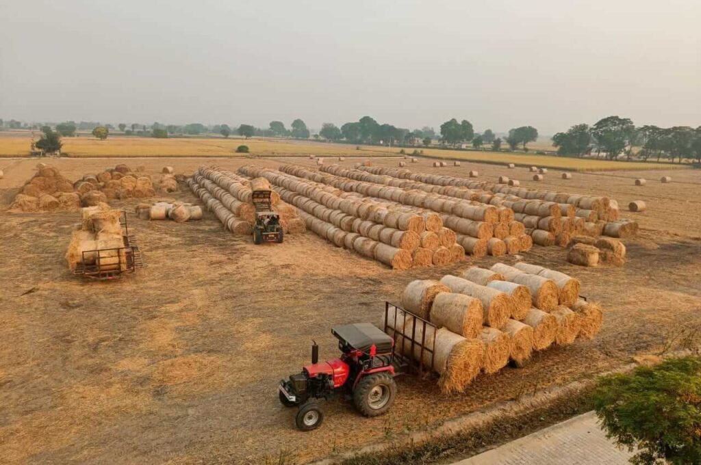 paddy bale 3
