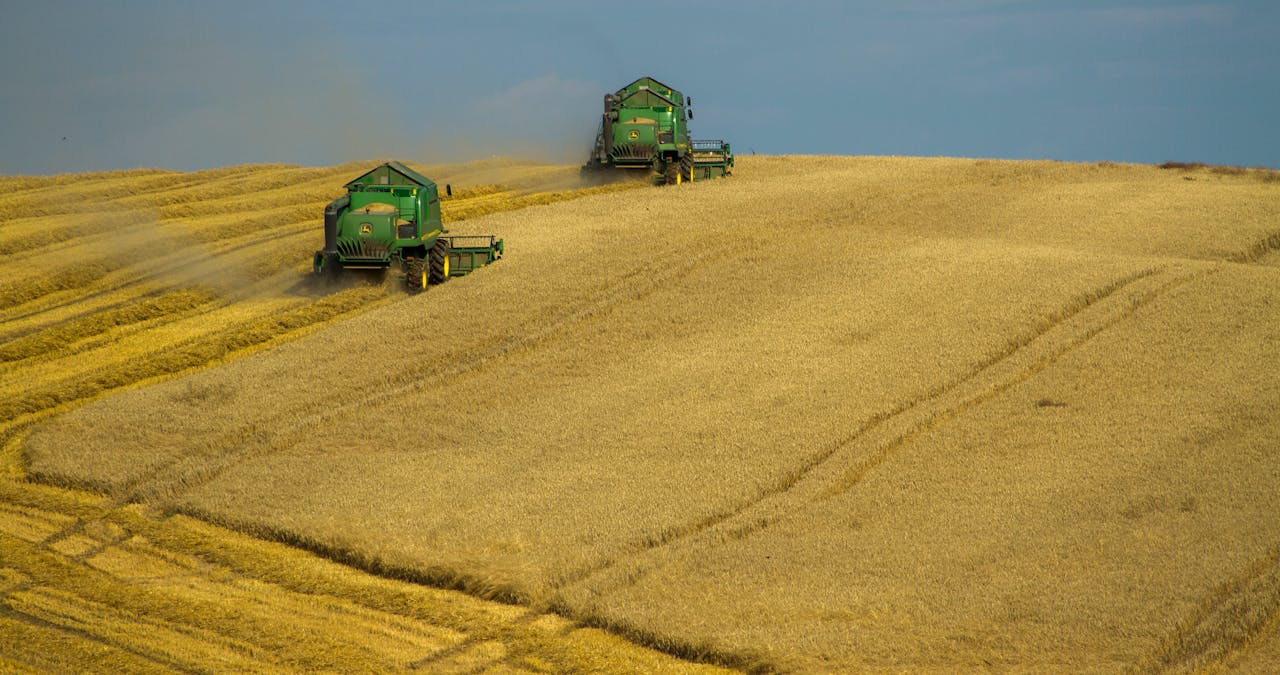 services-03 Combine harvesters work in a wheat field during a sunny day in rural Poland.
